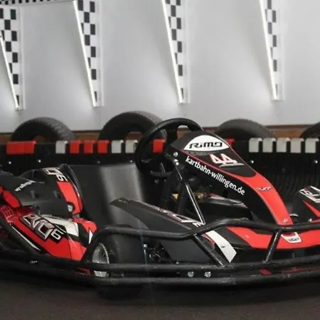 Bergchalet La Roubine Willingen Vakantiehuis