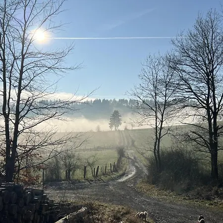 Casa vacanze Bergchalet La Roubine Willingen Neerdar