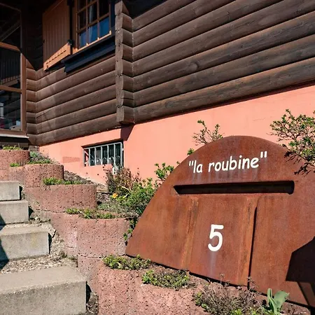 Bergchalet La Roubine Willingen