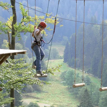 Bergchalet La Roubine Willingen Holiday home Neerdar