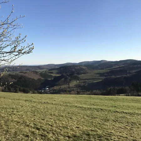 Holiday home Bergchalet La Roubine Willingen Neerdar