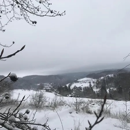 Holiday home Bergchalet La Roubine Willingen