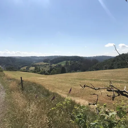 Bergchalet La Roubine Willingen *