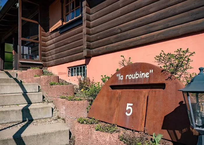 Bergchalet La Roubine Willingen Neerdar