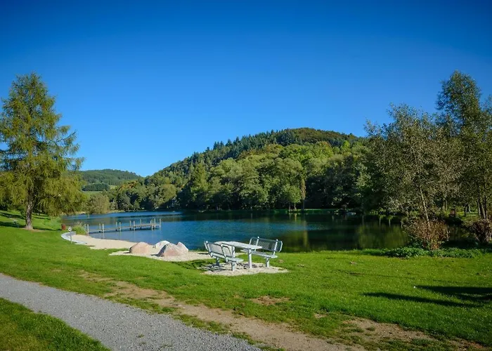 Bergchalet La Roubine Willingen Neerdar