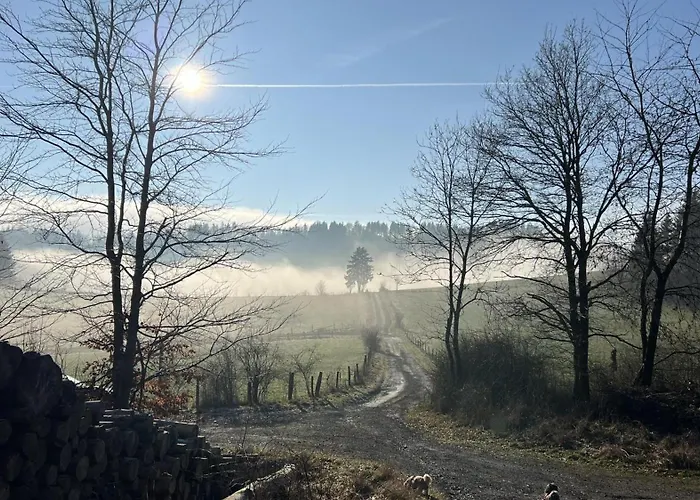 Nyaraló Bergchalet La Roubine Willingen