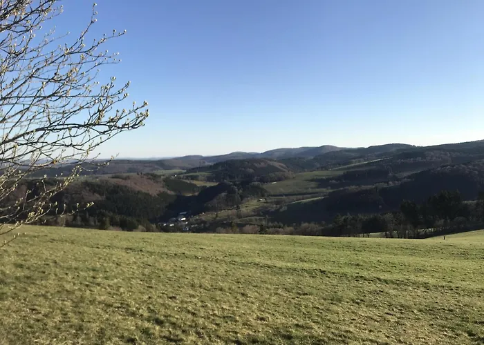 Holiday home Bergchalet La Roubine Willingen Neerdar